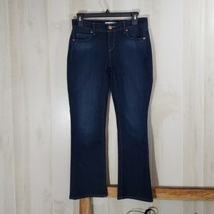 Ann Taylor Loft Boot Cut Jeans